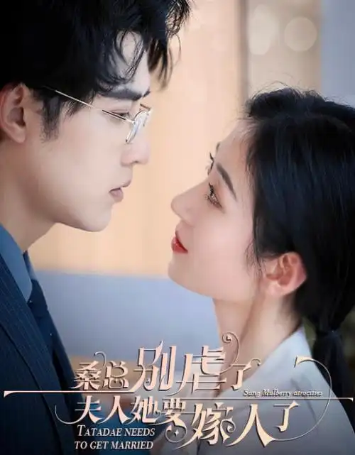 短剧免费在线观看 老板娘的秘密账本